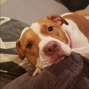 Meet your Posher, Mel